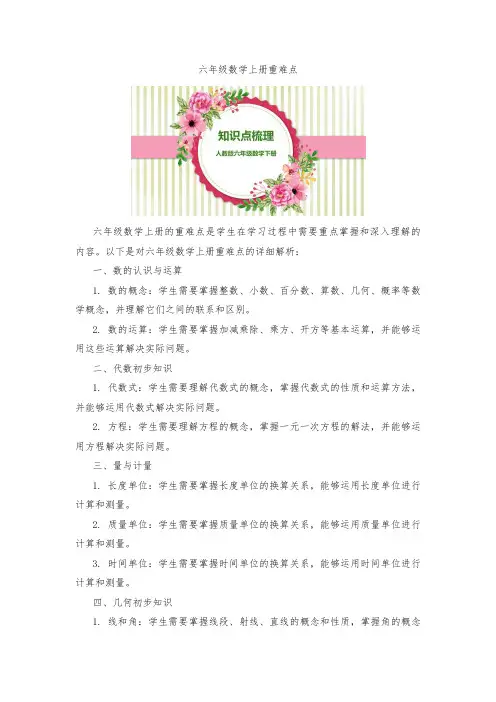 六年级数学上册重难点