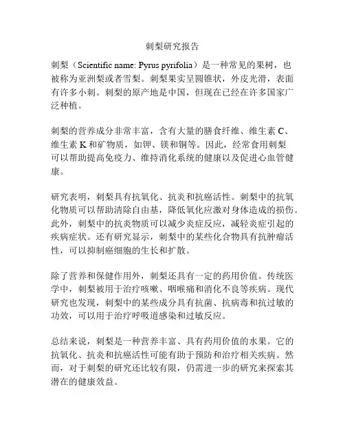刺梨研究报告