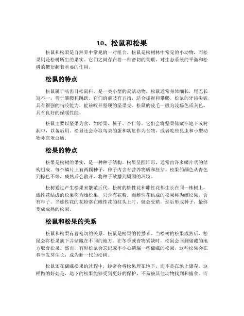 10、松鼠和松果