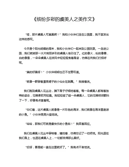 《缤纷多彩的虞美人之美作文》