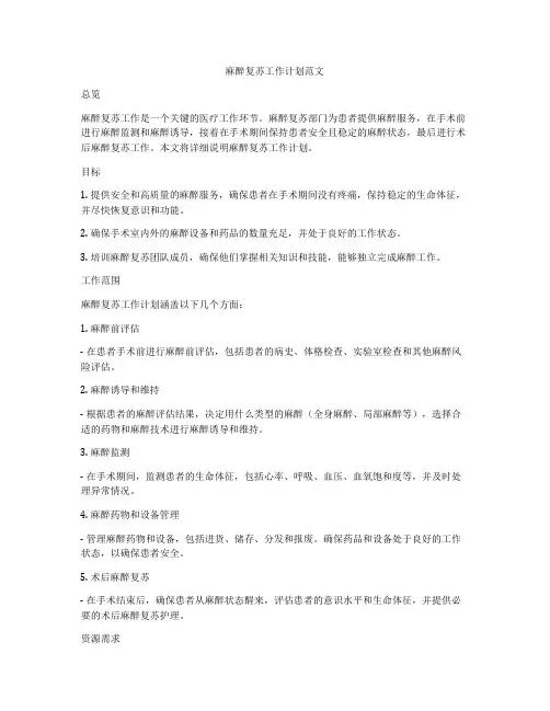 麻醉复苏工作计划范文