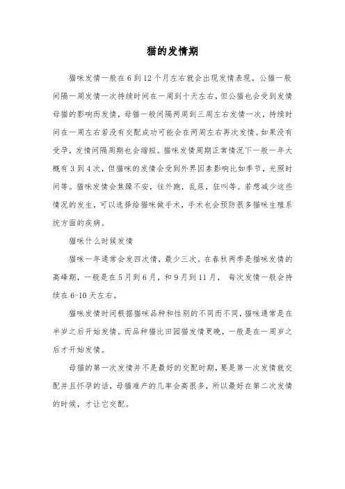 猫的发情期