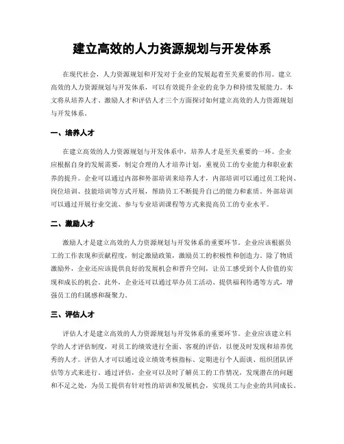 建立高效的人力资源规划与开发体系