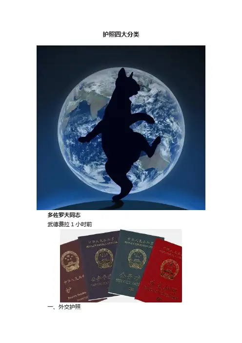 护照四大分类