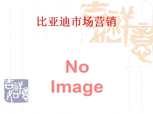 比亚迪市场营销分析报告