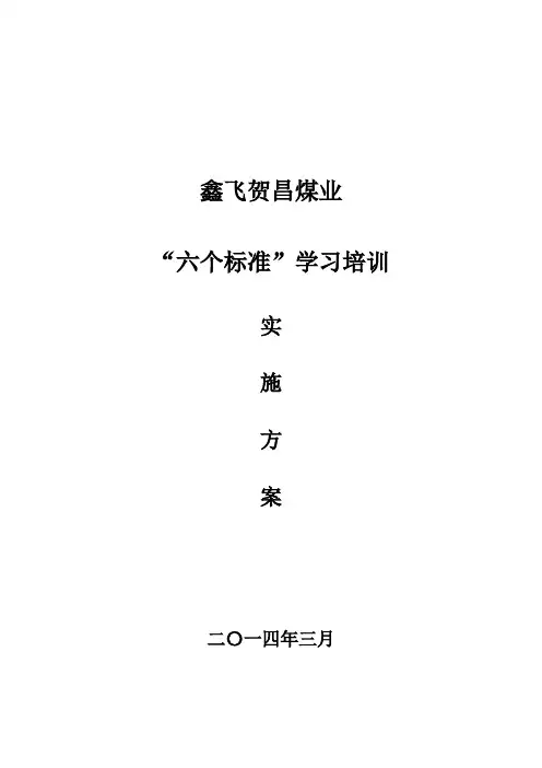 六个标准实施方案