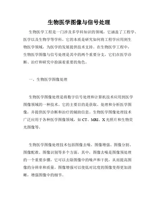 生物医学图像与信号处理