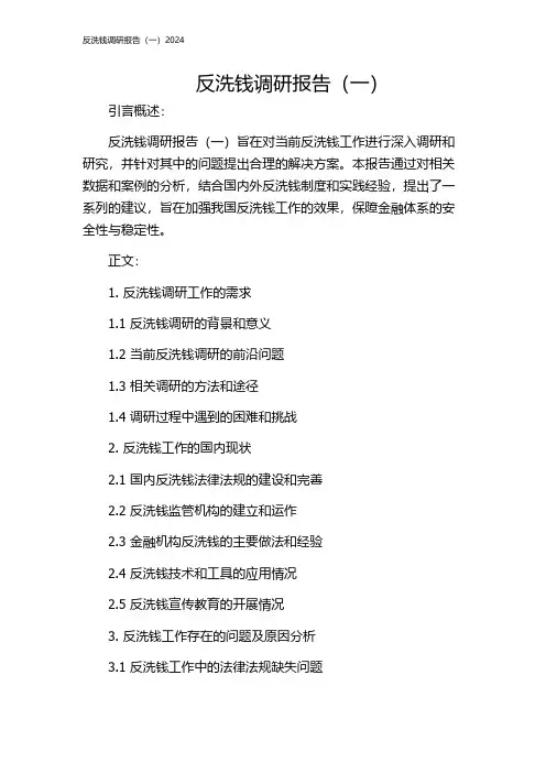 反洗钱调研报告(一)2024