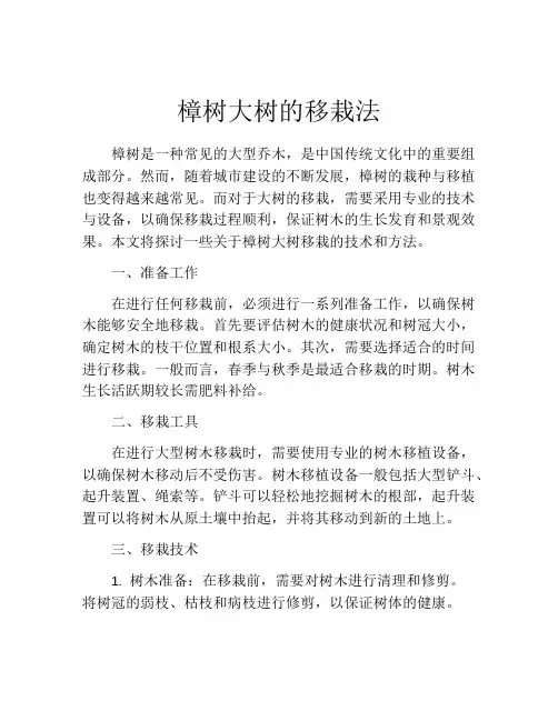 樟树大树的移栽法