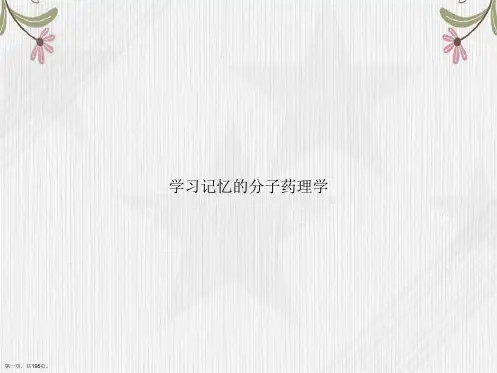 学习记忆的分子药理学讲课文档