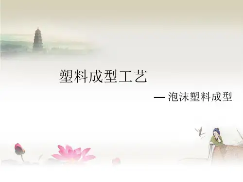 泡沫塑料成型工艺