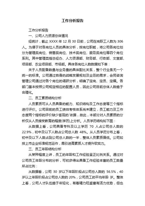 工作分析报告