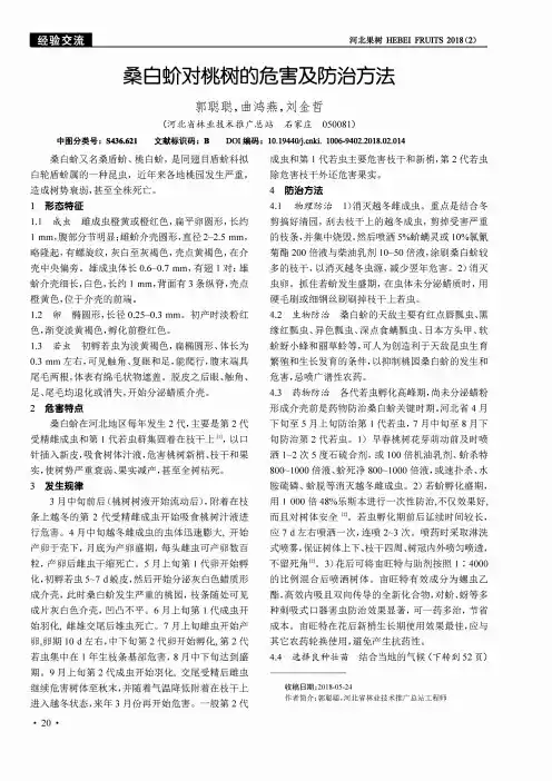 桑白蚧对桃树的危害及防治方法