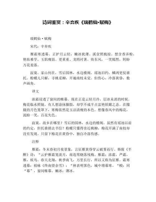 诗词鉴赏：辛弃疾《瑞鹤仙·赋梅》