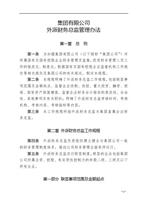 集团有限公司外派财务总监管理办法