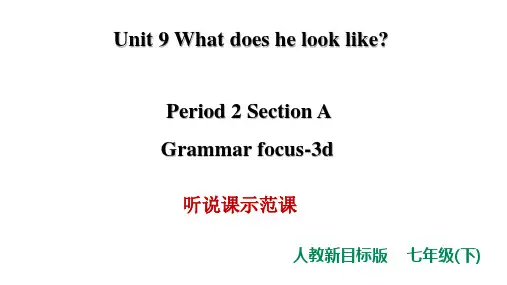 Unit 9   Section A Grammar focus-3d 语法课示范课