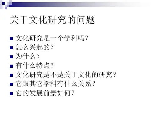 什么是文化研究