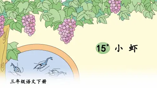 部编版三年级语文下册第15课《小虾》精品课件(共54张PPT)
