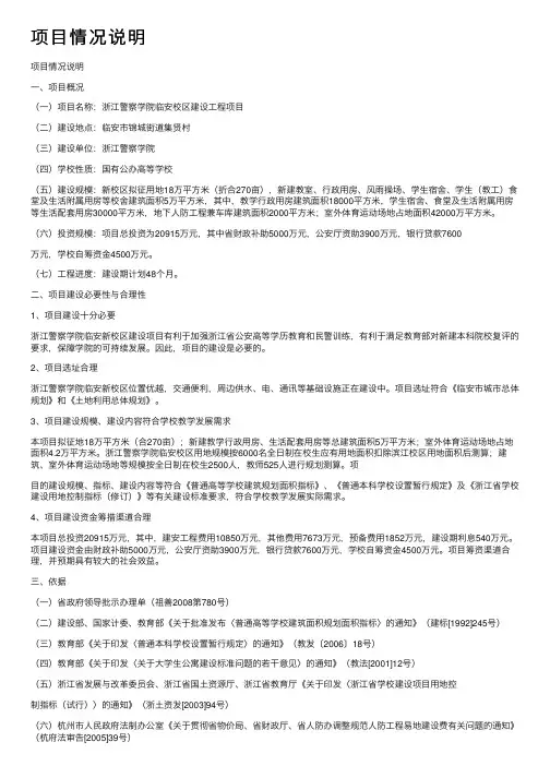 项目情况说明