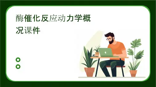 酶催化反应动力学概况课件