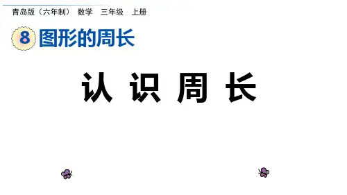 青岛版三年级上册数学 认识周长 课件（共20张ppt）