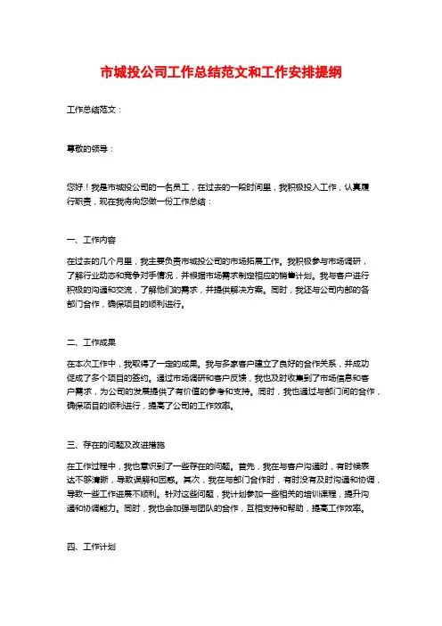 市城投公司工作总结范文和工作安排提纲