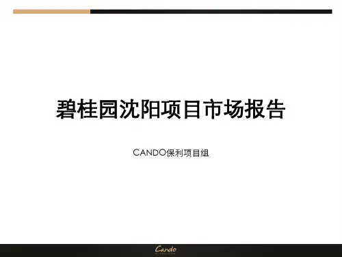 沈阳碧桂园市场分析报告PPT课件