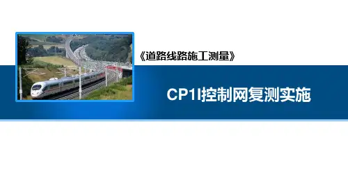 CP1I控制网复测实施