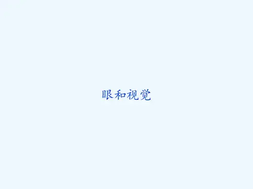 眼和视觉-PPT