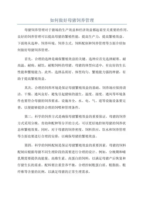 如何做好母猪饲养管理