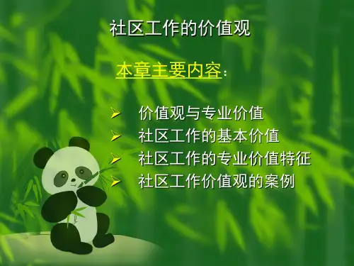 社区工作的价值观