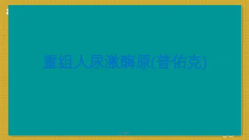 重组人尿激酶原(科室会)  ppt课件