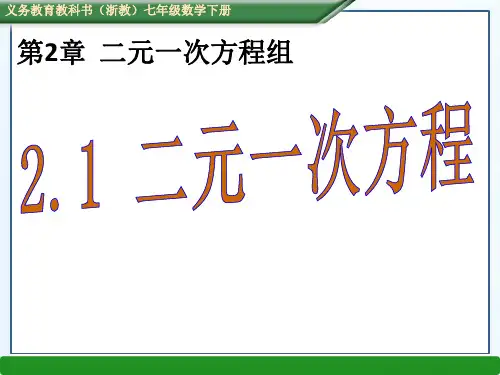 二元一次方程课件(浙教版)