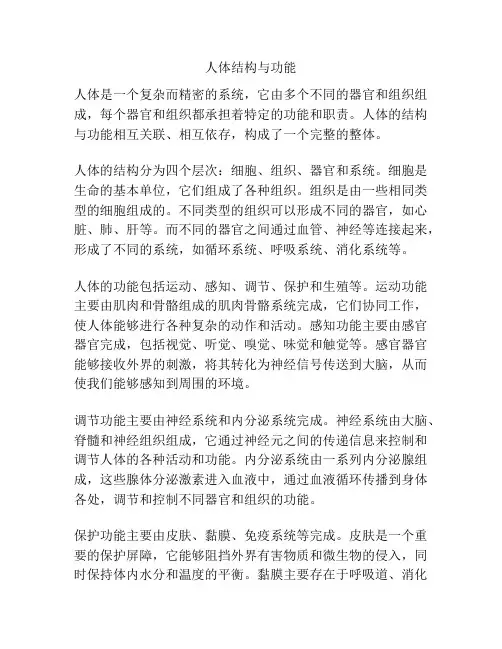 人体结构与功能