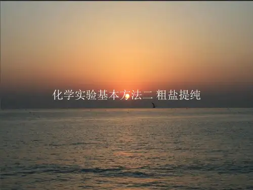 化学实验基本方法二粗盐提纯
