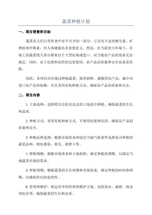 蔬菜种植计划