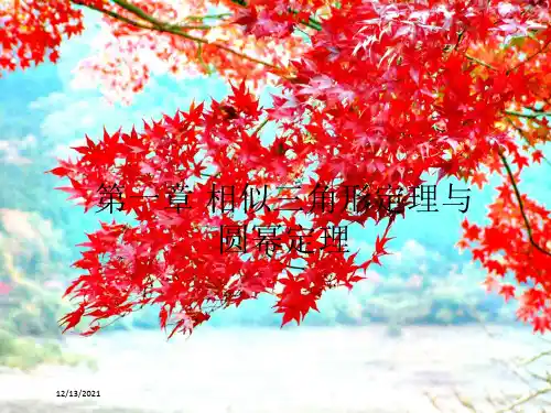 高中数学第一章相似三角形定理与圆幂定理1.1.1相似三角形判定定理b41b高二41数学