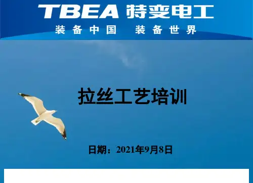 拉丝工艺培训ppt课件
