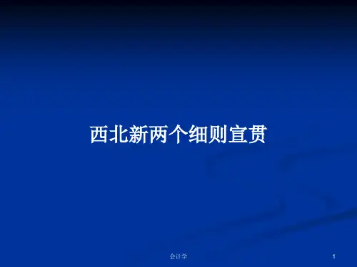 西北新两个细则宣贯PPT学习教案