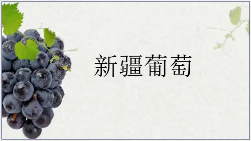 美术教学PPT 《新疆葡萄》教材课件