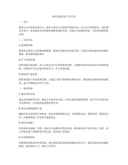新任销售总监工作计划