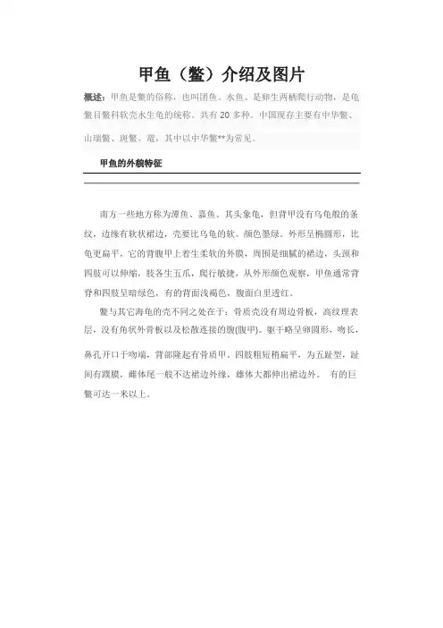 甲鱼(鳖)介绍及图片