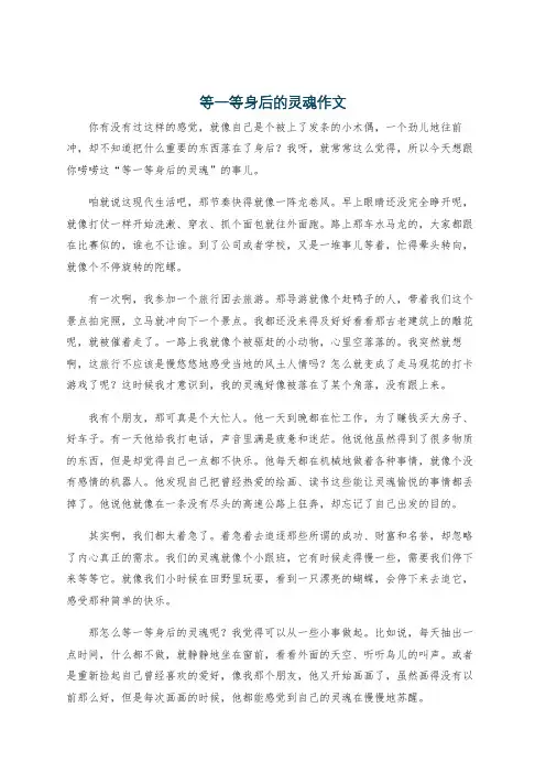 等一等身后的灵魂作文