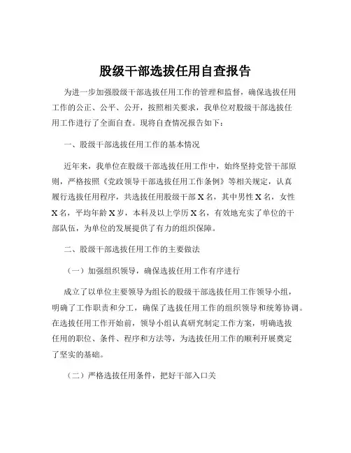 股级干部选拔任用自查报告