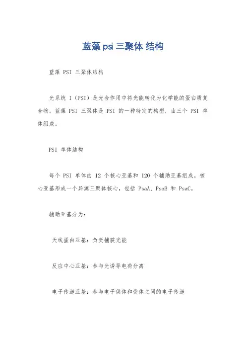 蓝藻psi三聚体 结构