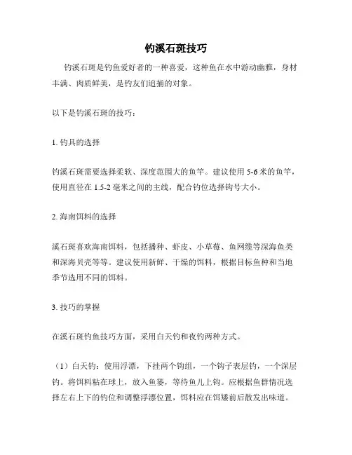 钓溪石斑技巧