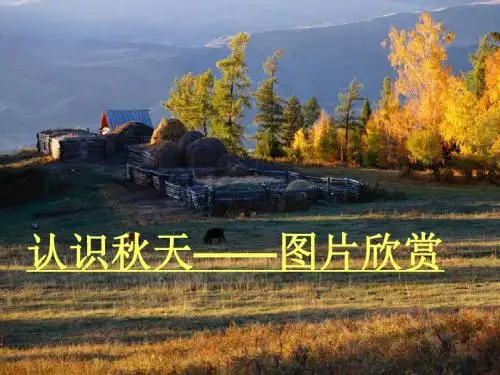 【精编】部编版七年级语文上册 秋天公开课ppt课件