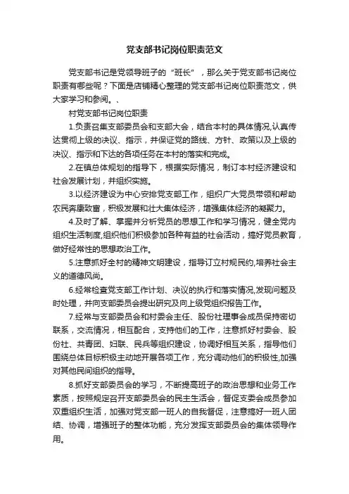 党支部书记岗位职责范文