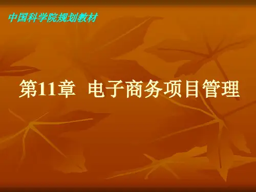 电子商务项目管理.pptx