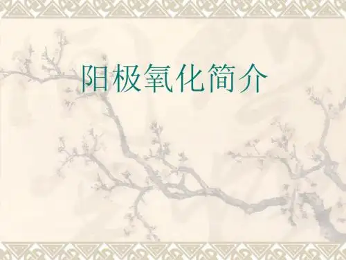 阳极氧化原理培训资料